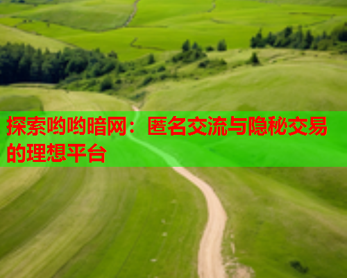 探索哟哟暗网：匿名交流与隐秘交易的理想平台