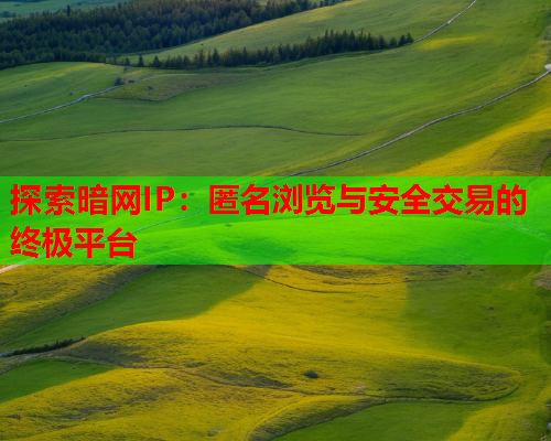 探索暗网IP：匿名浏览与安全交易的终极平台