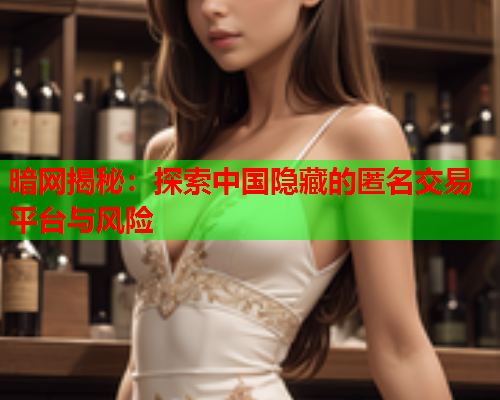 暗网揭秘：探索中国隐藏的匿名交易平台与风险