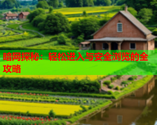 暗网探秘：轻松进入与安全浏览的全攻略