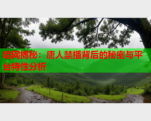 暗网揭秘：唐人禁播背后的秘密与平台特性分析