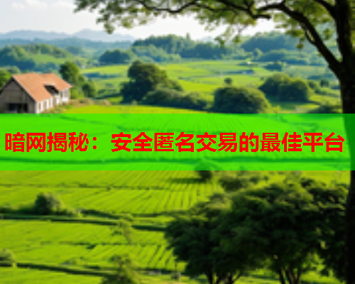 暗网揭秘：安全匿名交易的最佳平台