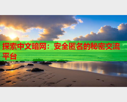 探索中文暗网：安全匿名的秘密交流平台