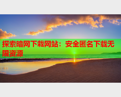 探索暗网下栽网站：安全匿名下载无限资源
