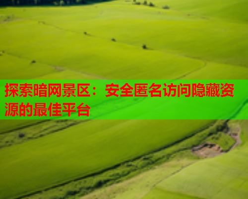 探索暗网景区：安全匿名访问隐藏资源的最佳平台
