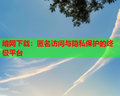 暗网下载：匿名访问与隐私保护的终极平台