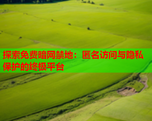 探索免费暗网禁地：匿名访问与隐私保护的终极平台