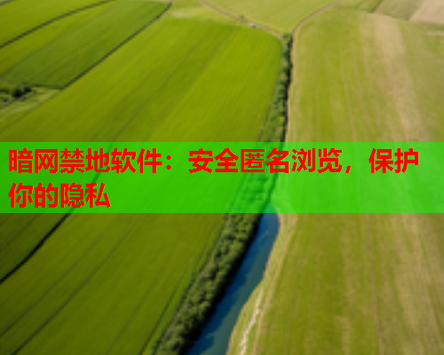暗网禁地软件：安全匿名浏览，保护你的隐私