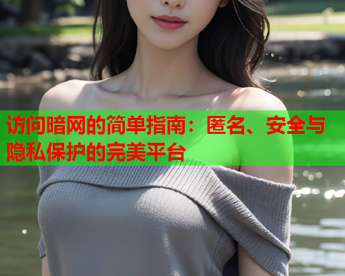 访问暗网的简单指南：匿名、安全与隐私保护的完美平台